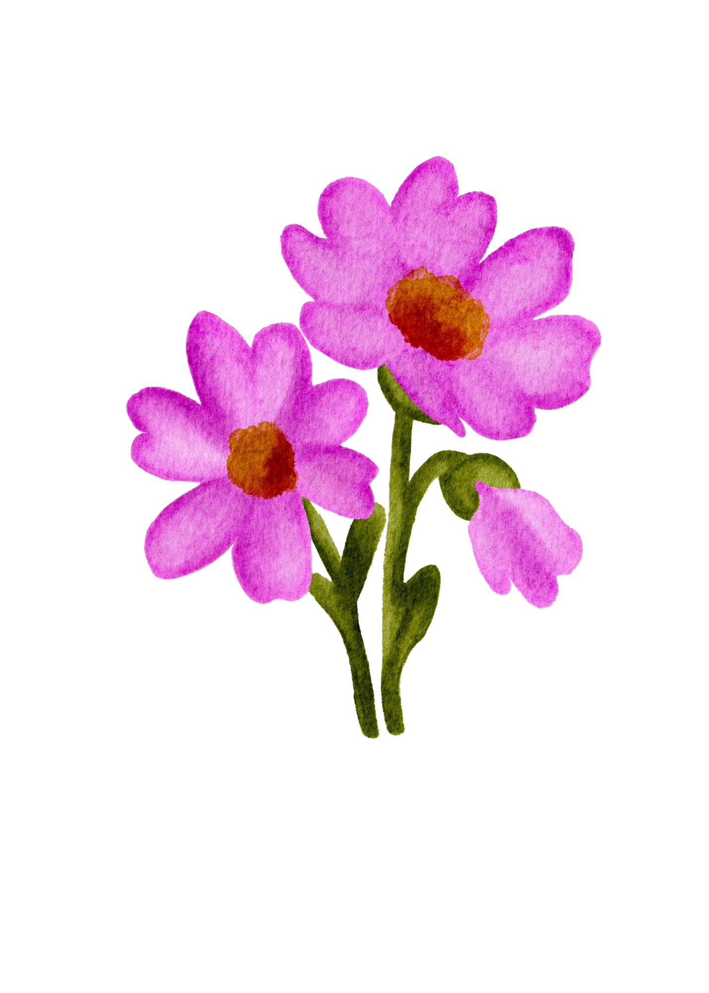 Original hand-drawn magenta daisy illustration