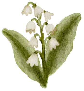 Original hand-drawn lily of the valley illustration with white bells and green leaves